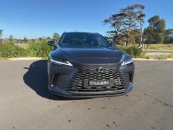 2024 Lexus
                RX 350h Sports Luxury