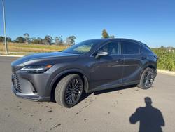 2024 Lexus
                RX 350h Sports Luxury