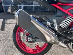 2024 BMW Motorrad G 310 R GREY