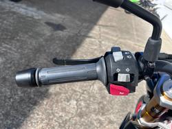 2024 BMW Motorrad G 310 R GREY