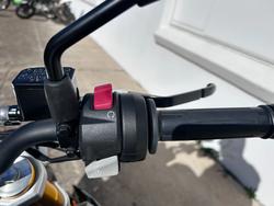 2024 BMW Motorrad G 310 R GREY