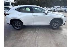 2024 Lexus
NX NX350h Luxury