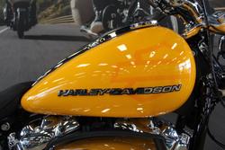 2025 Harley-davidson FXBR BREAKOUT (117)