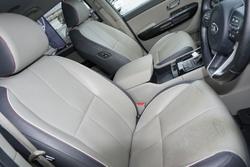 2017 Kia
Carnival Platinum