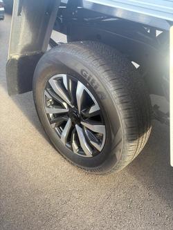 2025 GWM Cannon Premium