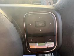 2025 GWM Cannon Premium