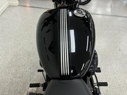 2020 Harley-davidson XG500 STREET 500 Black