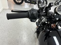 2020 Harley-davidson XG500 STREET 500 Black