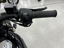 2020 Harley-davidson XG500 STREET 500 Black
