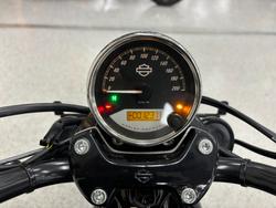 2020 Harley-davidson XG500 STREET 500 Black