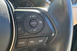 2021 Toyota
                RAV4 Cruiser