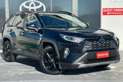 2021 Toyota
                RAV4 Cruiser