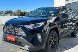 2021 Toyota
                RAV4 Cruiser