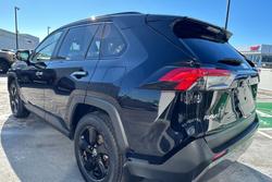 2021 Toyota
                RAV4 Cruiser