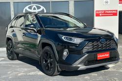 2021 Toyota
                RAV4 Cruiser