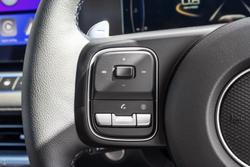 2025 GWM Cannon Vanta