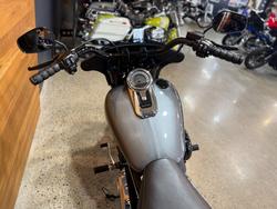 2021 Harley-davidson FLSB SPORT GLIDE (107) Grey