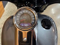2021 Harley-davidson FLSB SPORT GLIDE (107) Grey