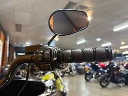 2021 Harley-davidson FLSB SPORT GLIDE (107) Grey