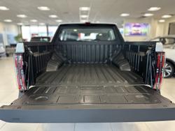 2025 LDV
Terron 9 Origin