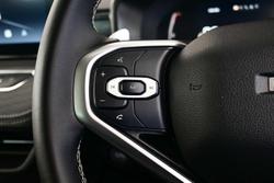 2024 GWM
                Haval Jolion Lux