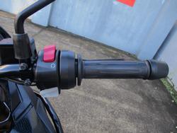 2022 BMW Motorrad G 310 GS WHITE