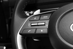 2025 Hyundai
                STARIA Highlander