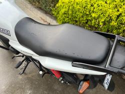 2024 Honda CB125F (CBF125) White