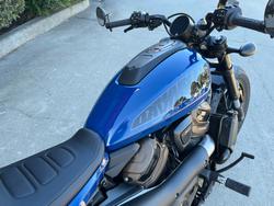 2023 HARLEY-DAVIDSON RH1250S SPORTSTER S Blue
