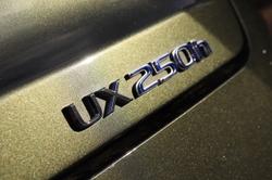 2021 Lexus
UX UX250h Luxury