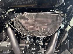 2025 Harley-davidson FLHX STREET GLIDE (117) Vivid Black