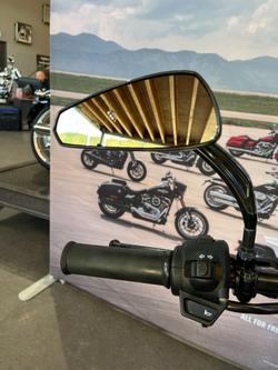 2017 Harley-davidson STREET 500 (LAMS) Black