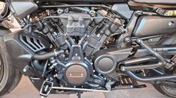 2022 Harley-davidson RH1250S SPORTSTER S Black