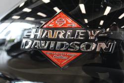 2025 Harley-davidson FXBR BREAKOUT (117)
