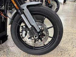 2025 Harley-Davidson Low Rider S 117 (FXLRS) Softail Grey