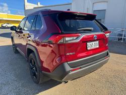 2020 Toyota RAV4 Cruiser AXAH54R 4X4 On Demand Atomic Rush
