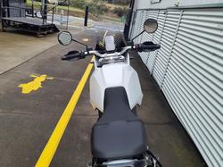 2025 Ducati Desert X Desert X White