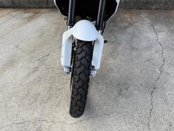 2022 Ducati
                Desert X 