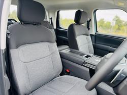2025 LDV
Terron 9 Origin