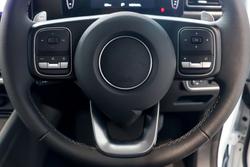 2025 GWM Cannon Premium