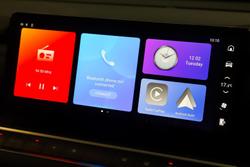 2025 GWM Cannon Premium