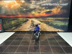 2025 Yamaha TTR50E BLUE