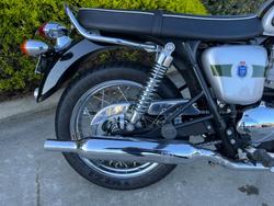 Triumph 2012 TRIUMPH 865CC BONNE T100 A2