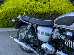 Triumph 2012 TRIUMPH 865CC BONNE T100 A2