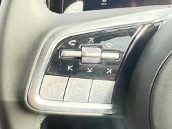 2025 GWM Cannon Alpha Lux PHEV