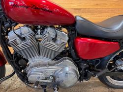 2011 Harley-davidson XL883 IRON 883