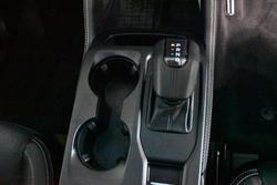 2024 Ford
Everest Platinum