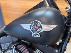 2010 Harley-davidson FLSTFB FAT BOY LO Black