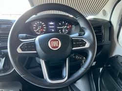 2023 Nomad Pop Top 4 Birth