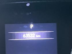 2023 Nomad Pop Top 4 Birth